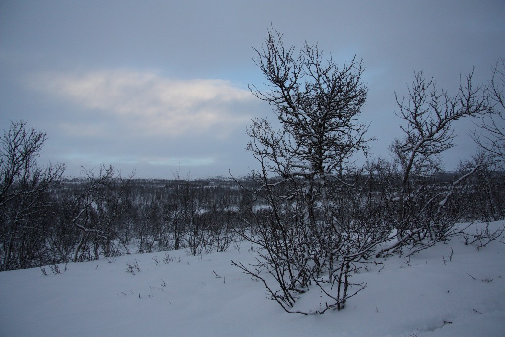 Black and white scenery