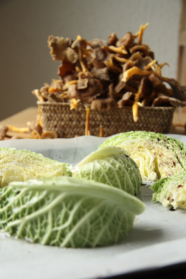 savoy cabbage