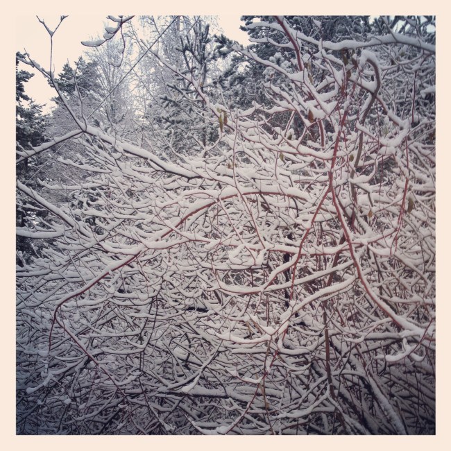 2013-12-08 14.13.37-2