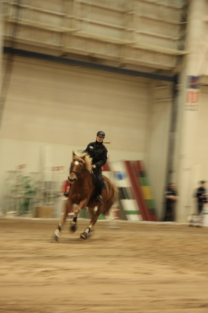 police horse show speed