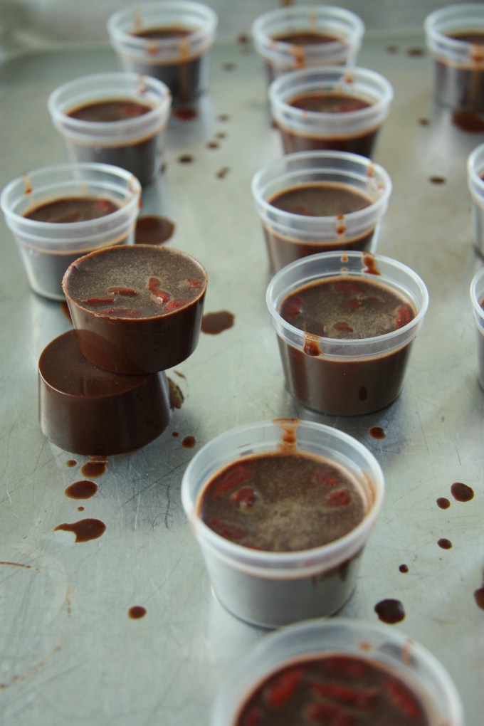 raw chocolate with goji berry