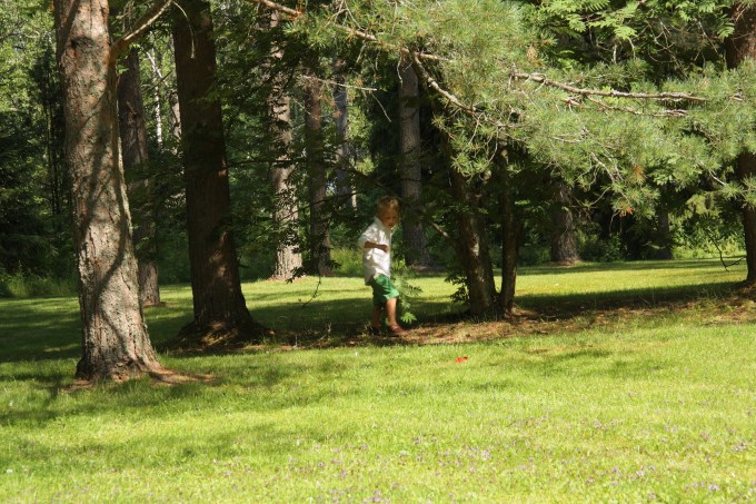 playing in the trees