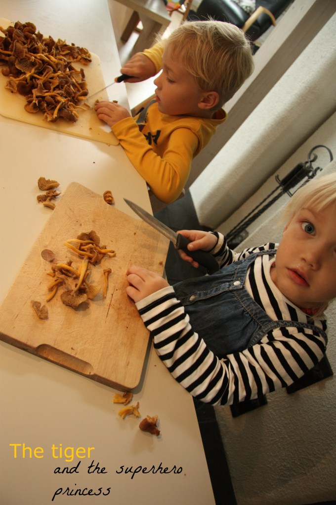 tiger and superhero princess edit