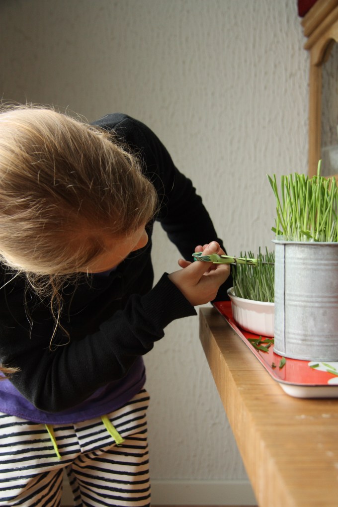 cutting easter grass