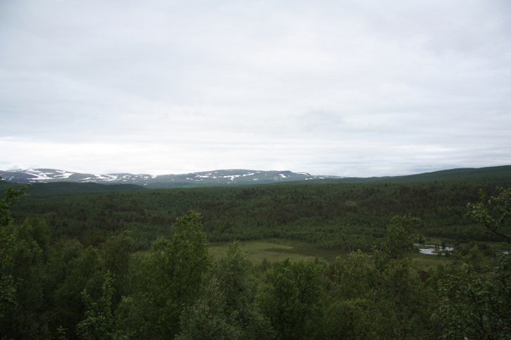 wetlands and rivers swedish lapland