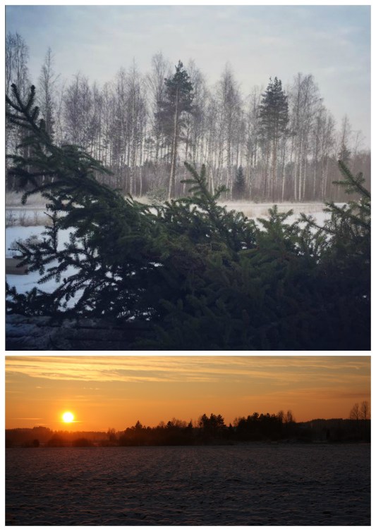 Christmas leaving and january light