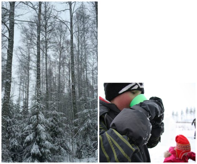 lumilinnakaakao collage