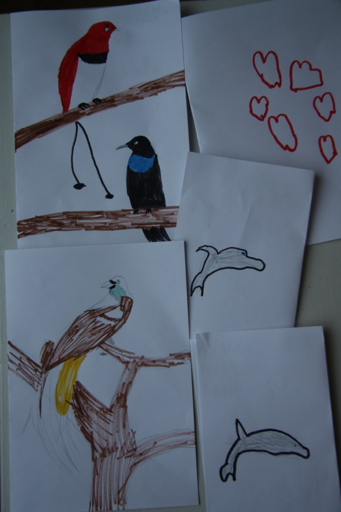 valentine's day cards