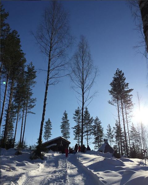 laavuretki finnish winter