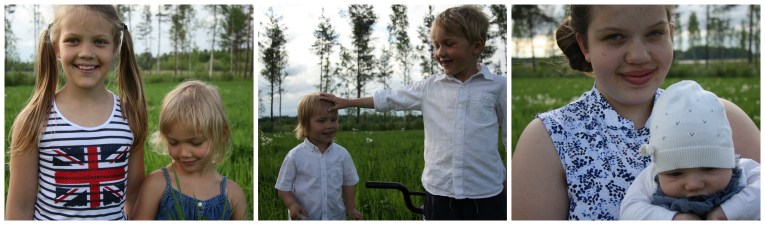 summer field finland