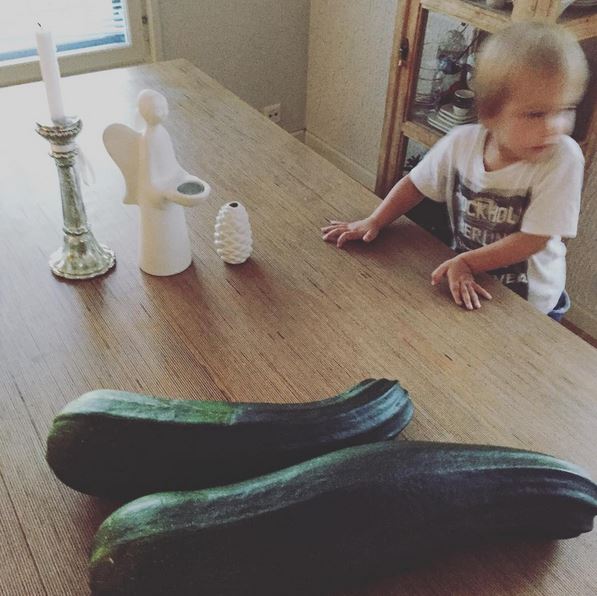 giant-zucchini