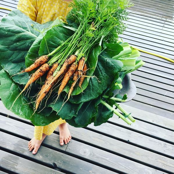 garden fresh produce